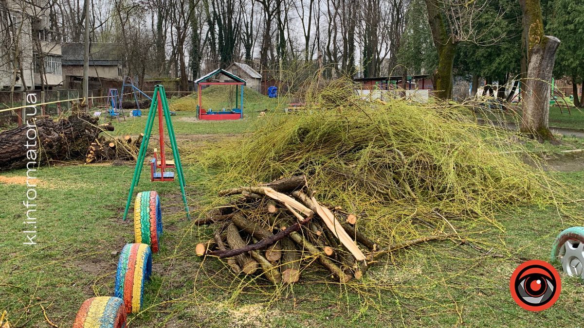 Полеміка у Коломиї: у дитсадку №19 масово зрізають дерева — мешканці б’ють на сполох 3