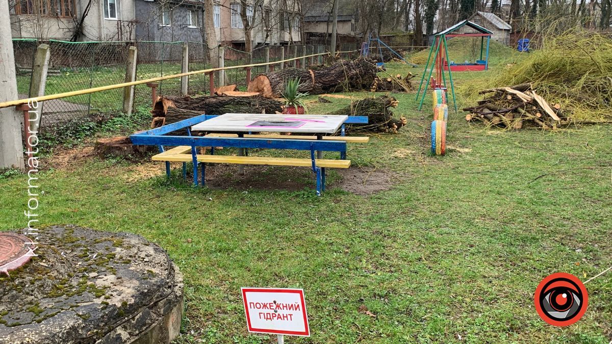 Полеміка у Коломиї: у дитсадку №19 масово зрізають дерева — мешканці б’ють на сполох 4