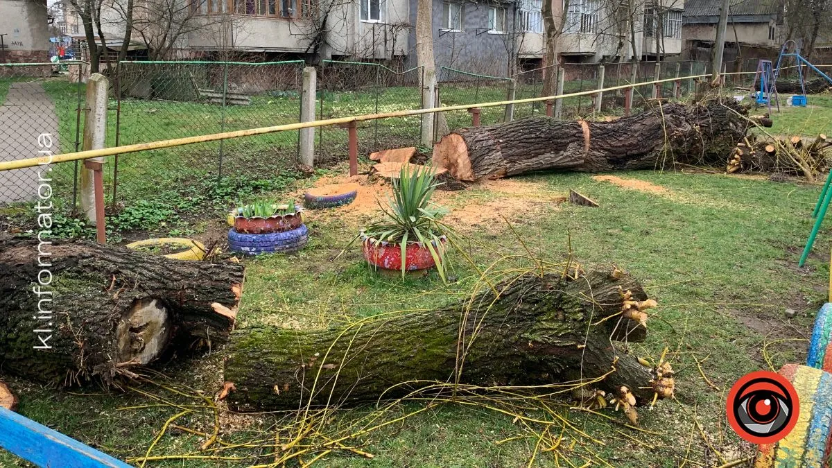 Полеміка у Коломиї: у дитсадку №19 масово зрізають дерева — мешканці б’ють на сполох