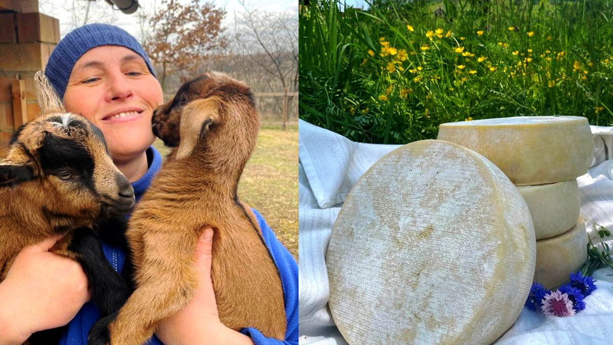 Екскурсії 7