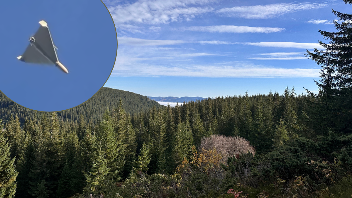 Ворожа дронова атака на Прикапаття 1 квітня