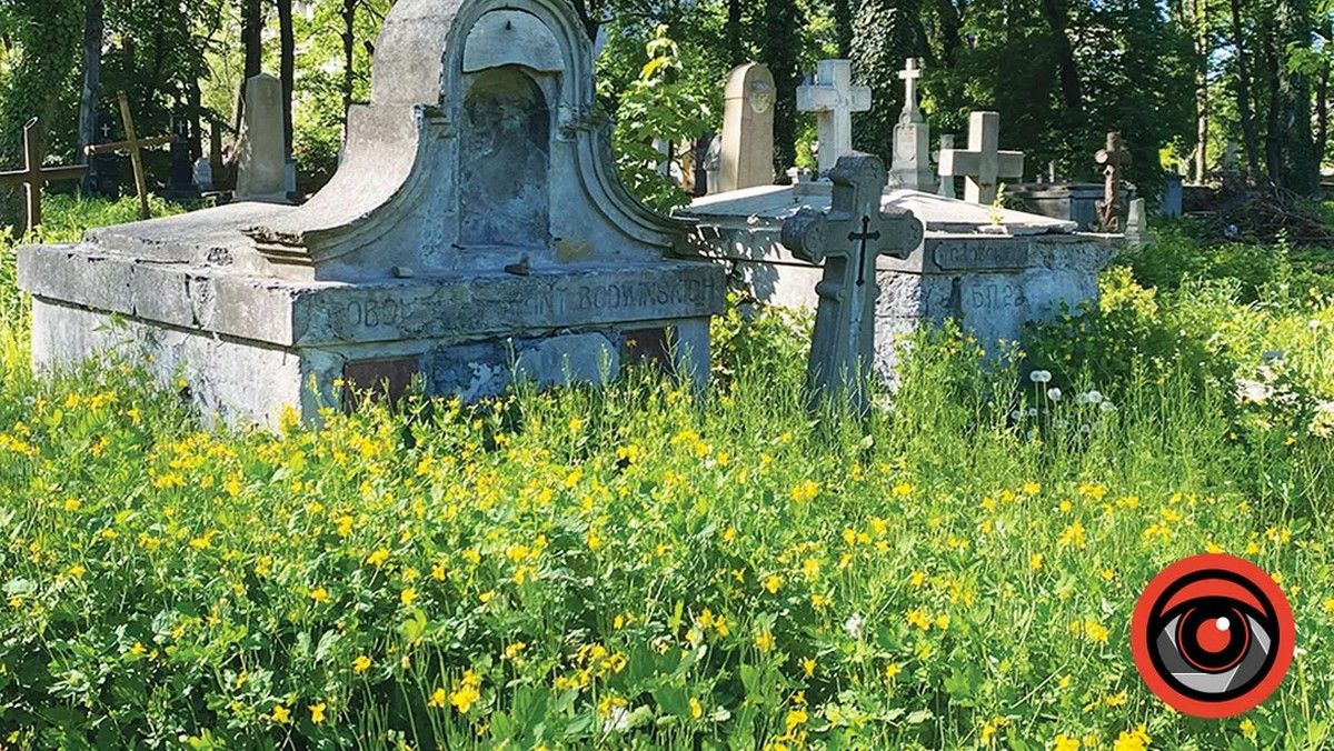 Пів мільйона на обкошування кладовищ 1