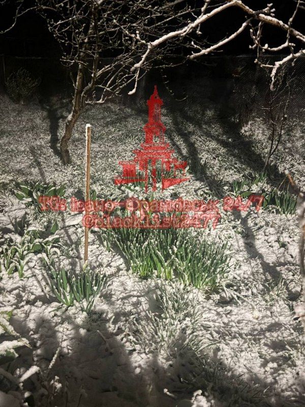 Сніг на Надвірнянщині 8 квітня. Автор на вотермарці