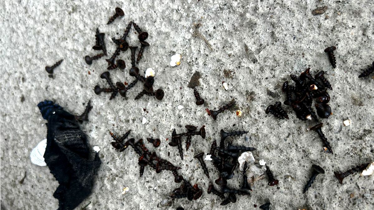 Замінував власний будинок, аби підірвати правоохоронців: на Прикарпатті затримали зловмисника 2