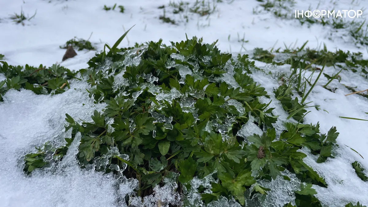 Квітень дивує: на Франківщині падає сніг та град