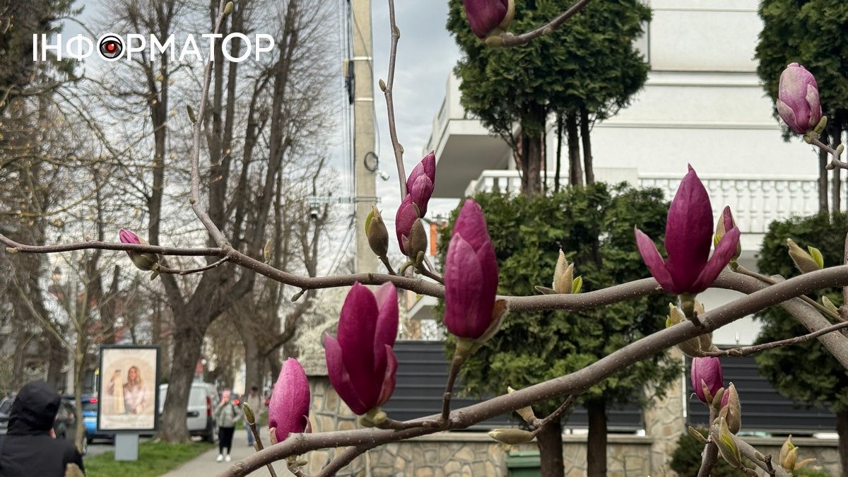 Погода у Коломиї на 13 квітня