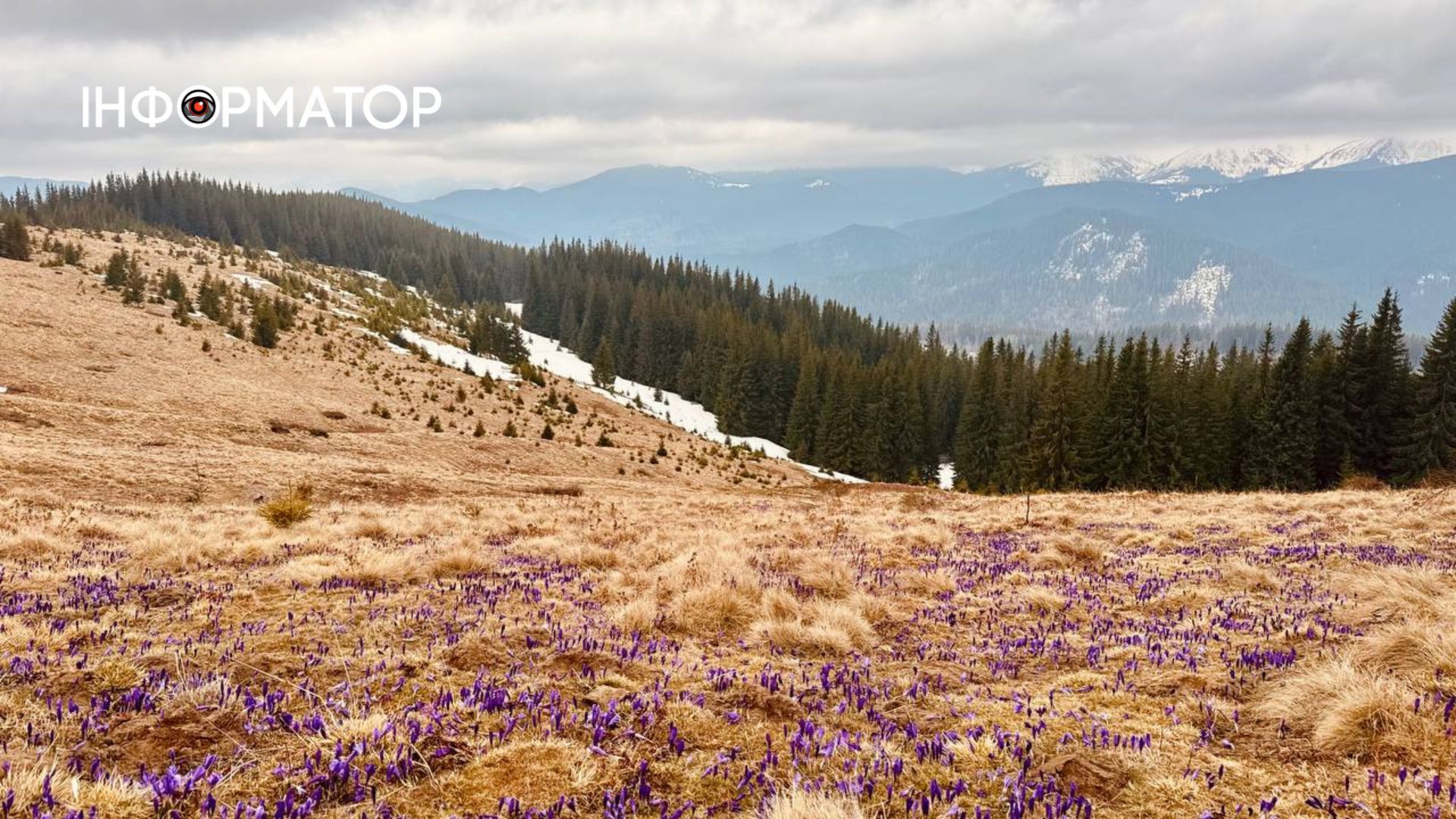 Фоторепортаж з Карпат