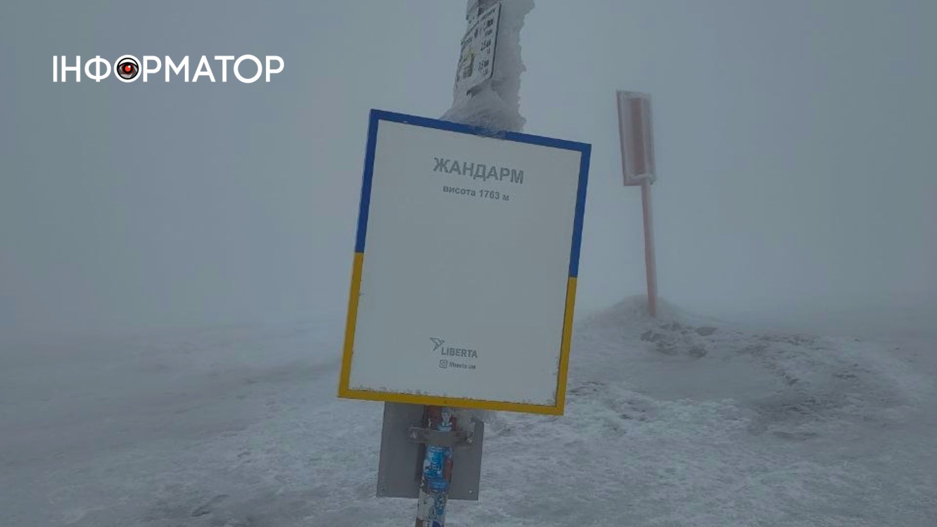 Фіолетове на білому: як крокуси відвойовують схили у карпатської зими 4