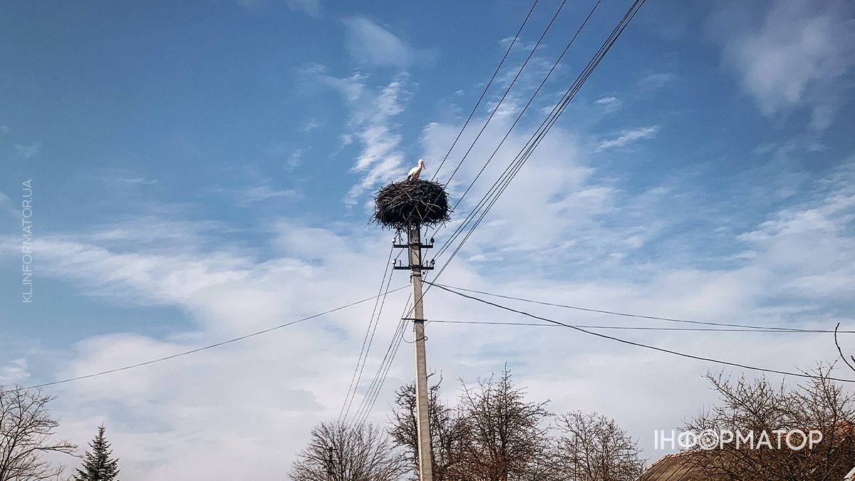 Фоторепортаж із Фатовця: тиша, що говорить більше за слова 7