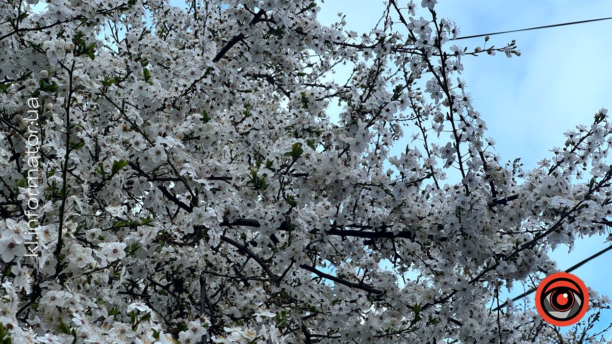 Погода у Коломиї 15 квітня