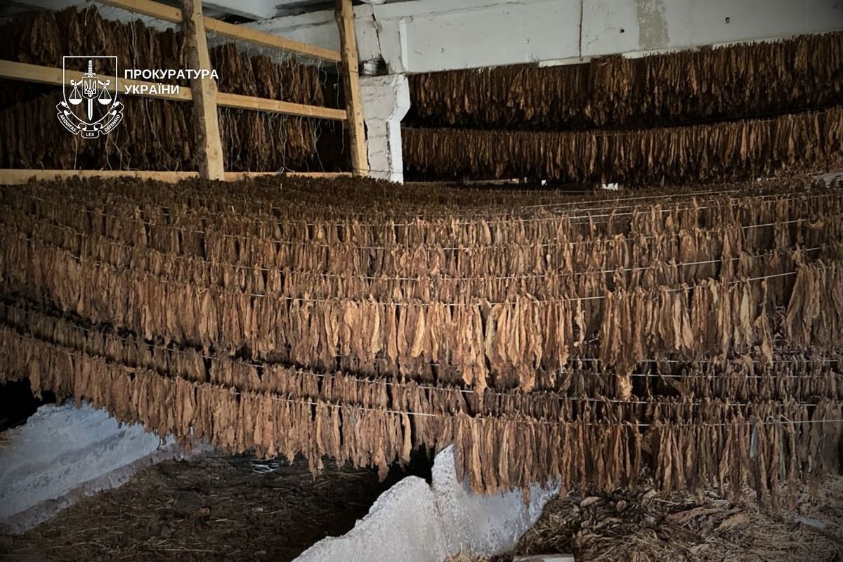 Масштабну підпільну мережу тютюнового бізнесу викрили на Прикарпатті та Закарпатті 1