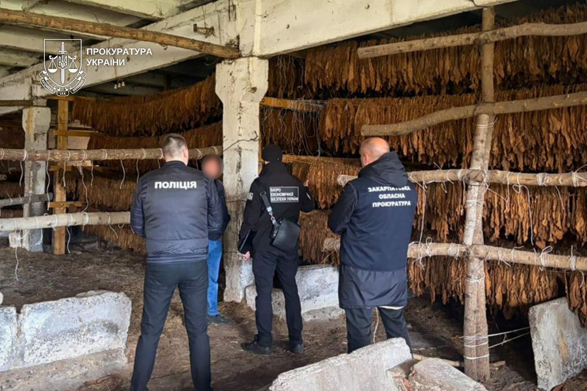 Масштабну підпільну мережу тютюнового бізнесу викрили на Прикарпатті та Закарпатті 3