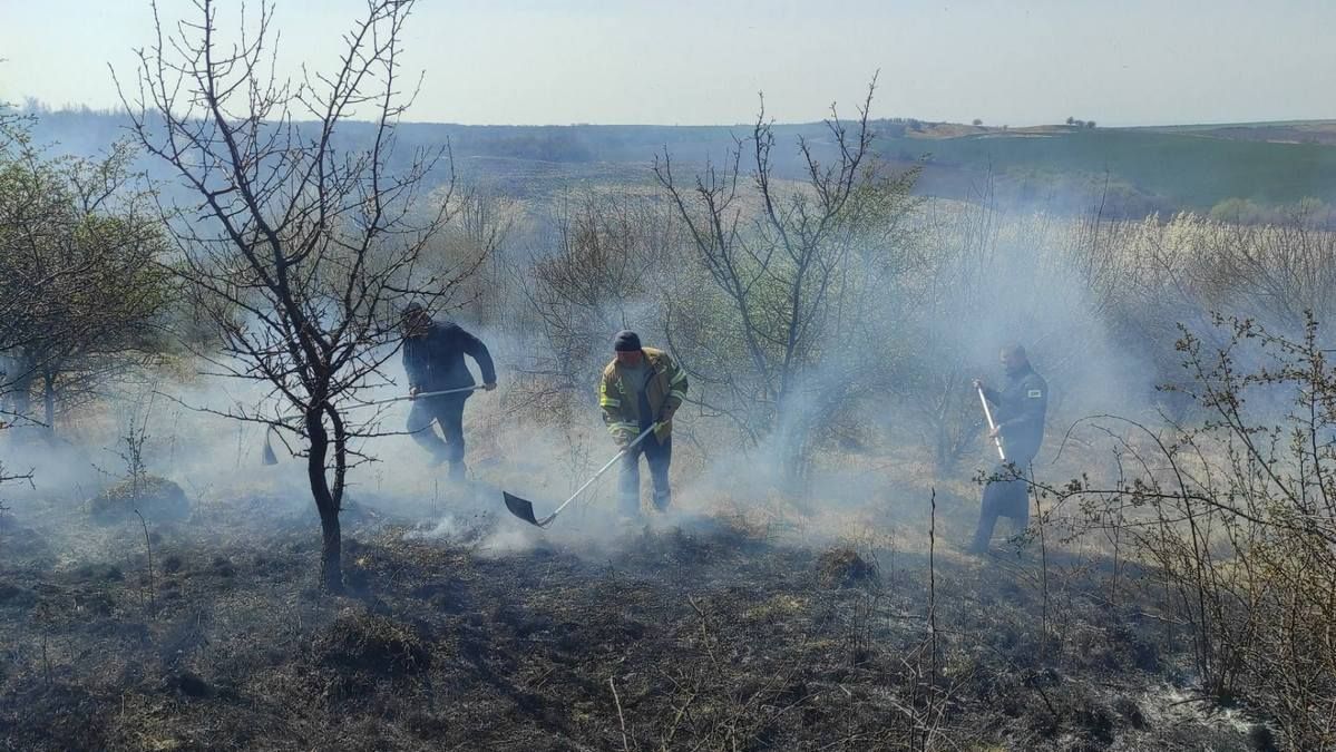 У Городенківській громаді ліквідували пожежу сухої трави в полі 1