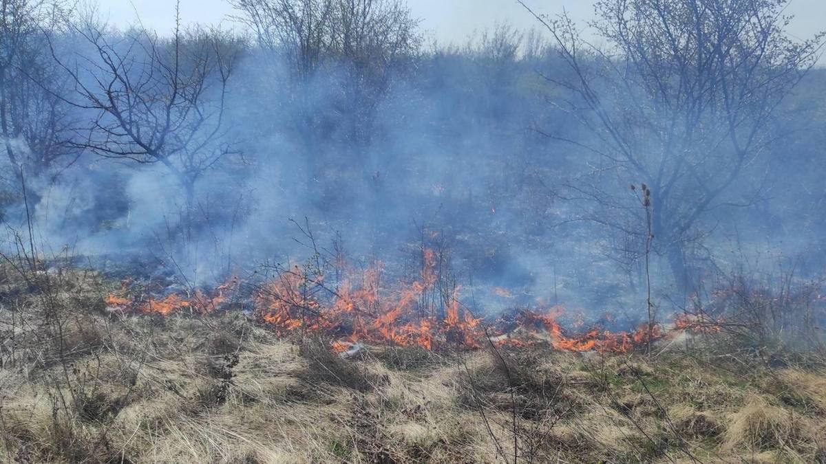 У Городенківській громаді ліквідували пожежу сухої трави в полі 3