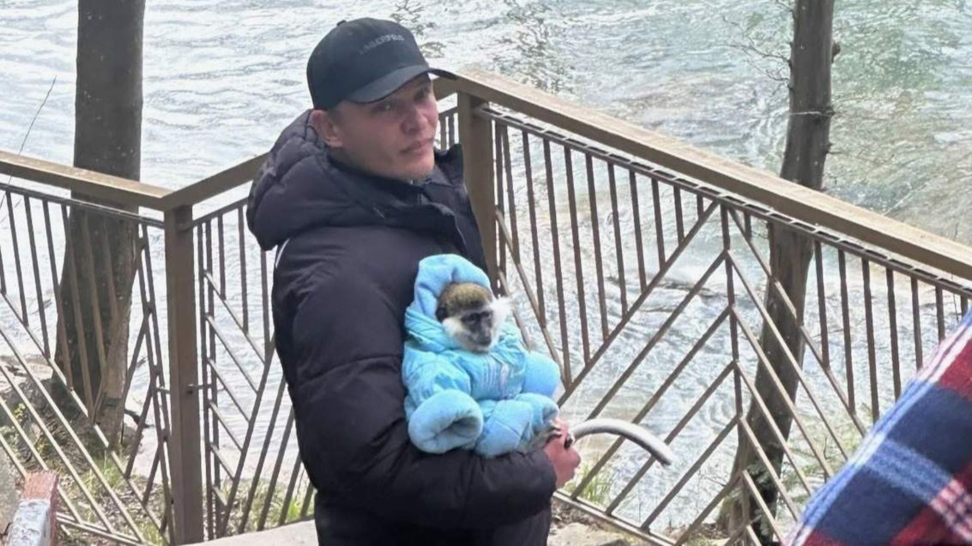 В Яремче експлуатують мавпу для фото з туристами