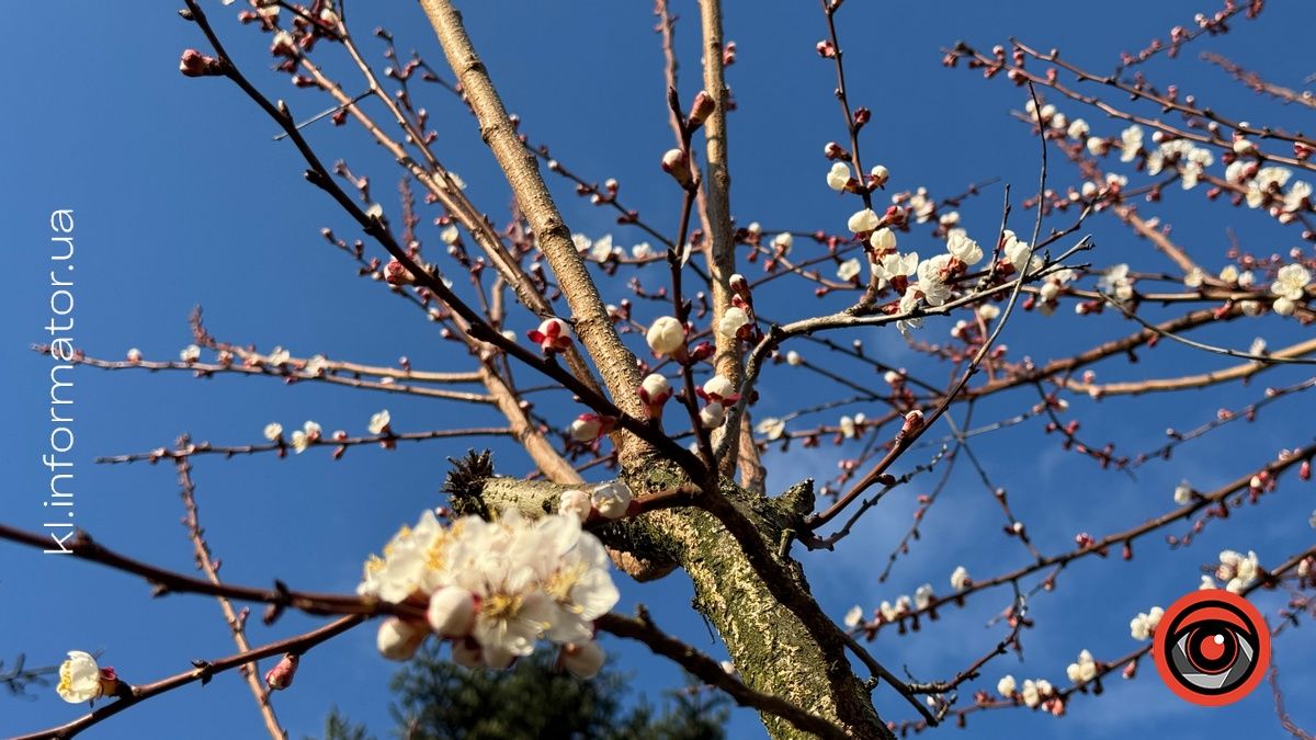 Прогноз погоди у Коломиї