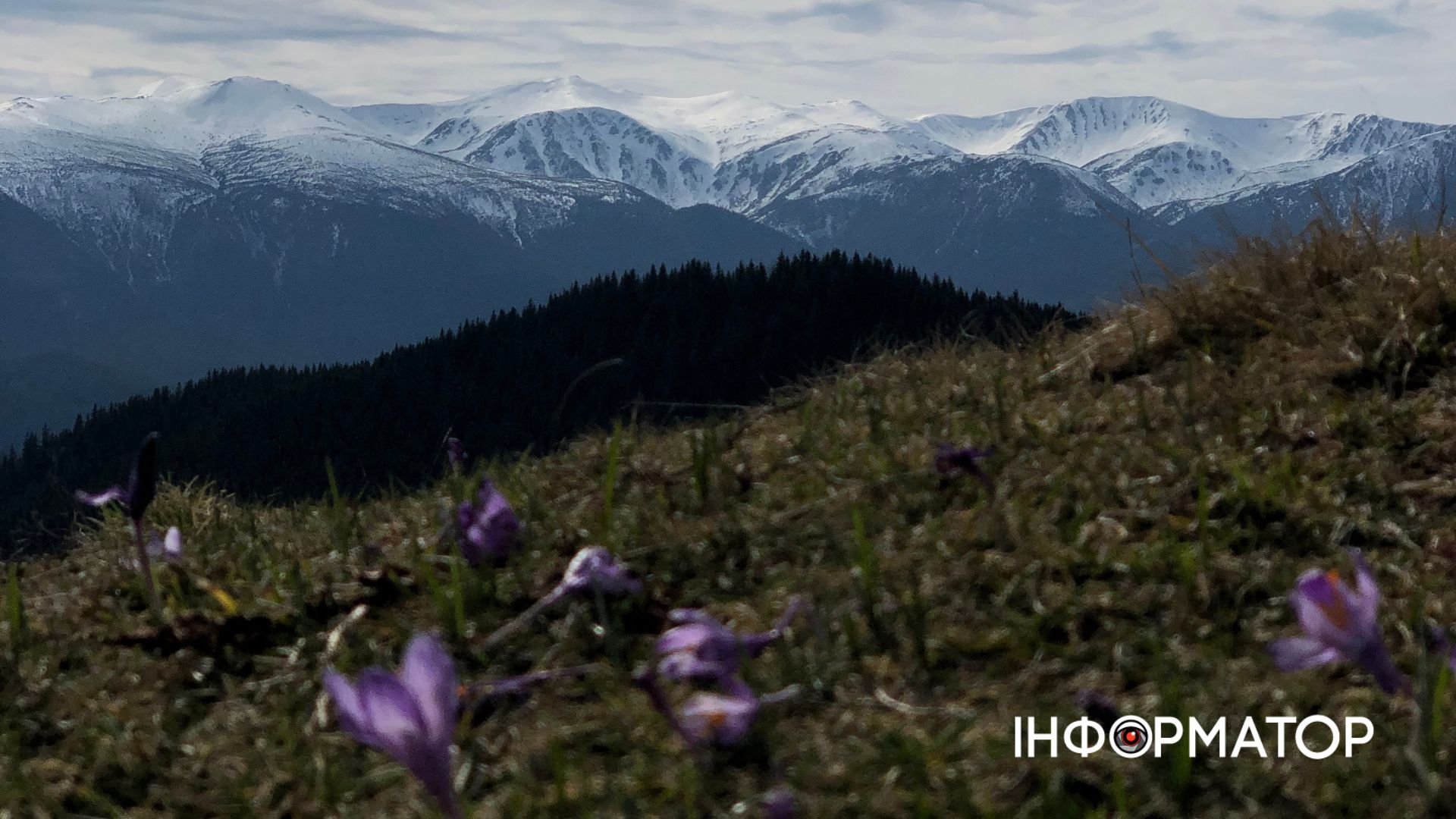 Весна прийшла на полонини, та не дісталася вершин: фоторепортаж з Карпат 1