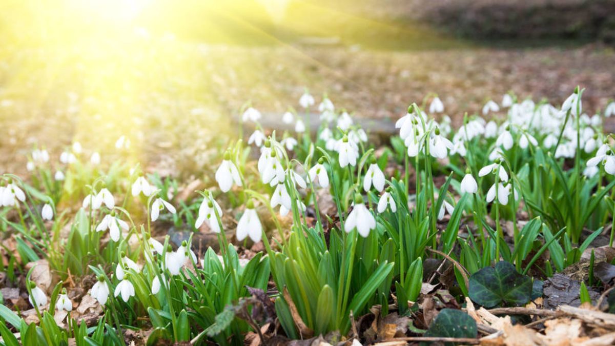 Цей день в календарі: свята, іменини, прикмети 19 квітня