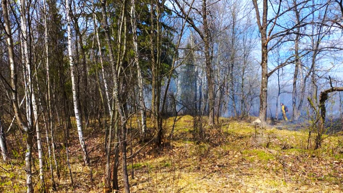 На Надвірнянщині горіло 1500 м² лісу 1
