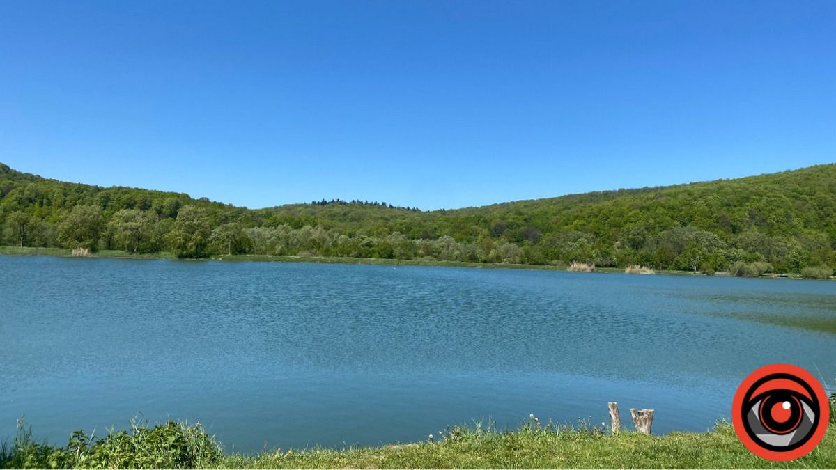 Товстолобом зарибнили озеро в Надвірній задля очищення водойми