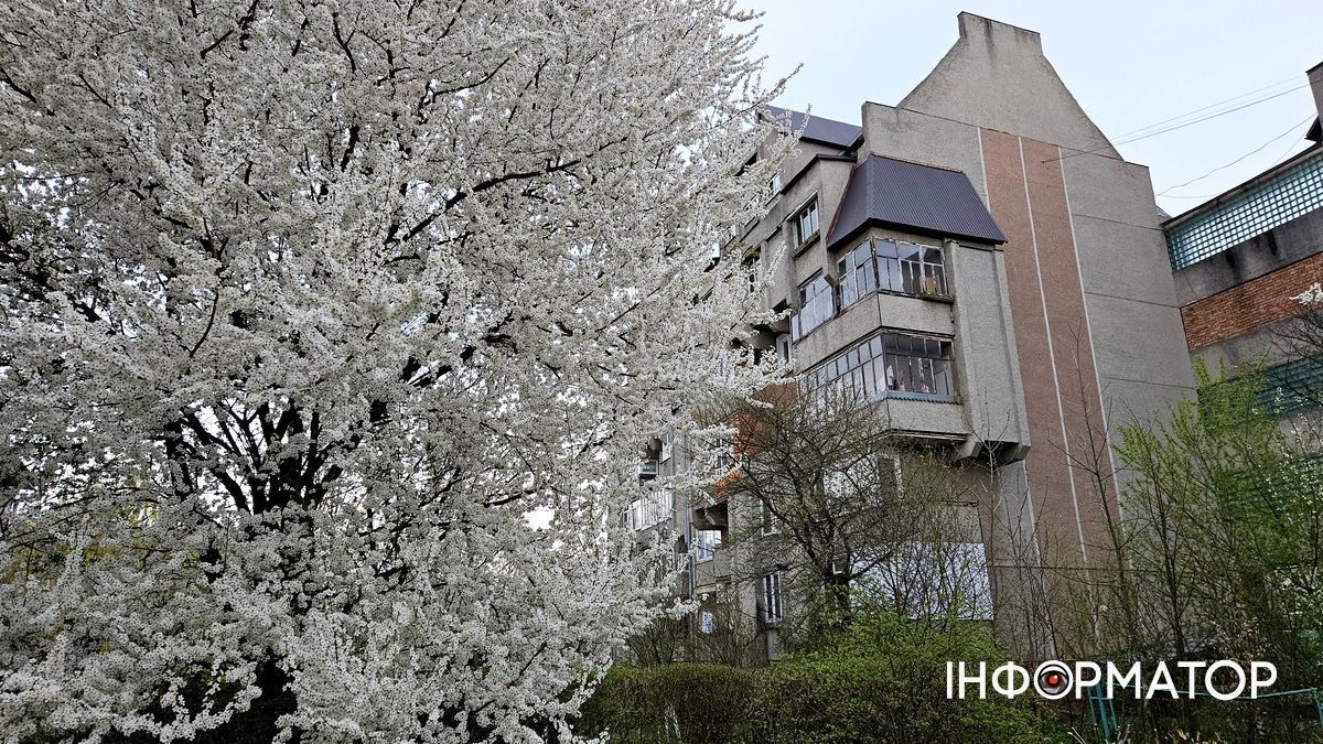 Прогноз погоди у Коломиї