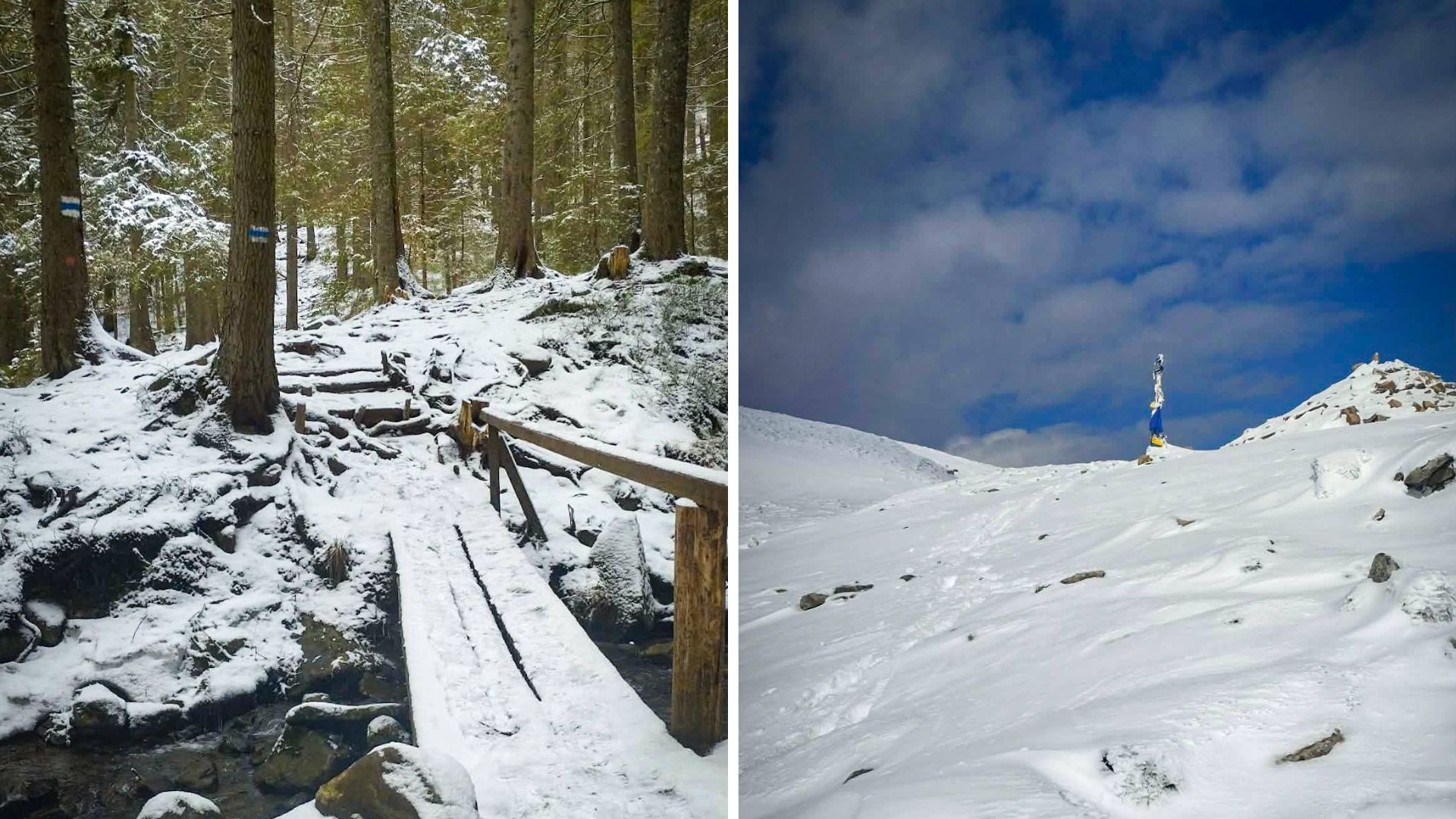 Стан гірської стежки до гори Говерла. Фото: команда "Волонтерські мандрівки"