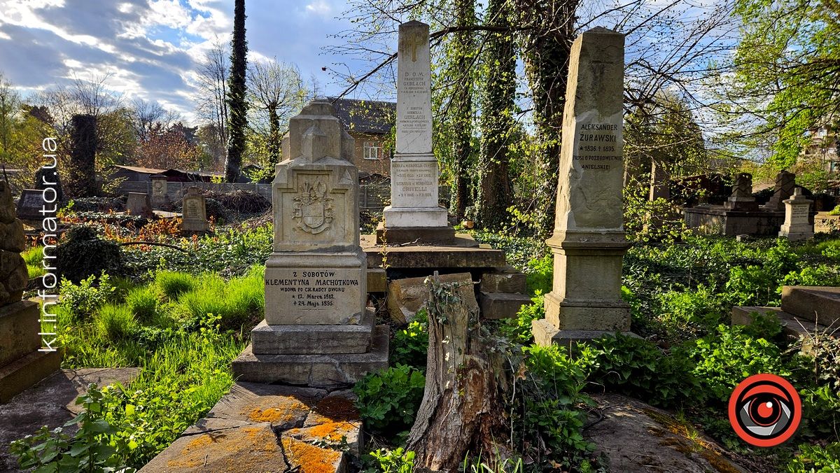 Стихійна розруха: як природа бере своє на польському кладовищі у Коломиї 19