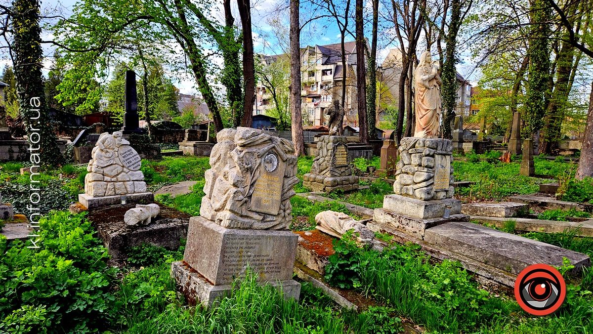 Стихійна розруха: як природа бере своє на польському кладовищі у Коломиї 20