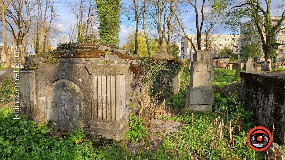 Стихійна розруха: як природа бере своє на польському кладовищі у Коломиї 24