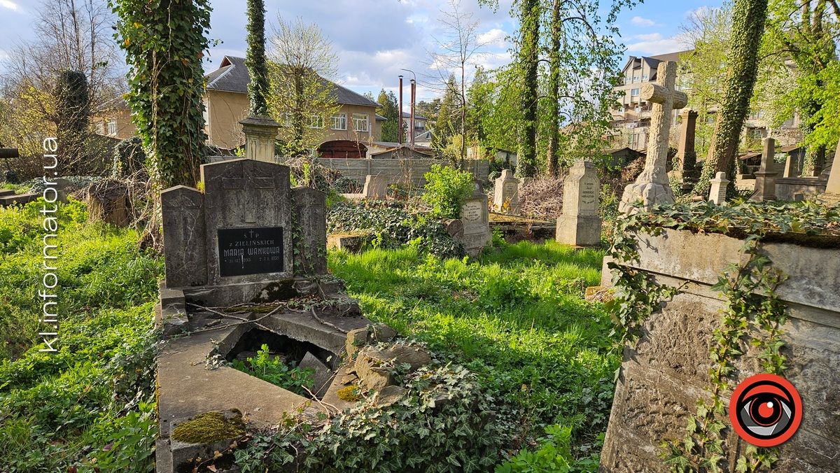 Стихійна розруха: як природа бере своє на польському кладовищі у Коломиї 21
