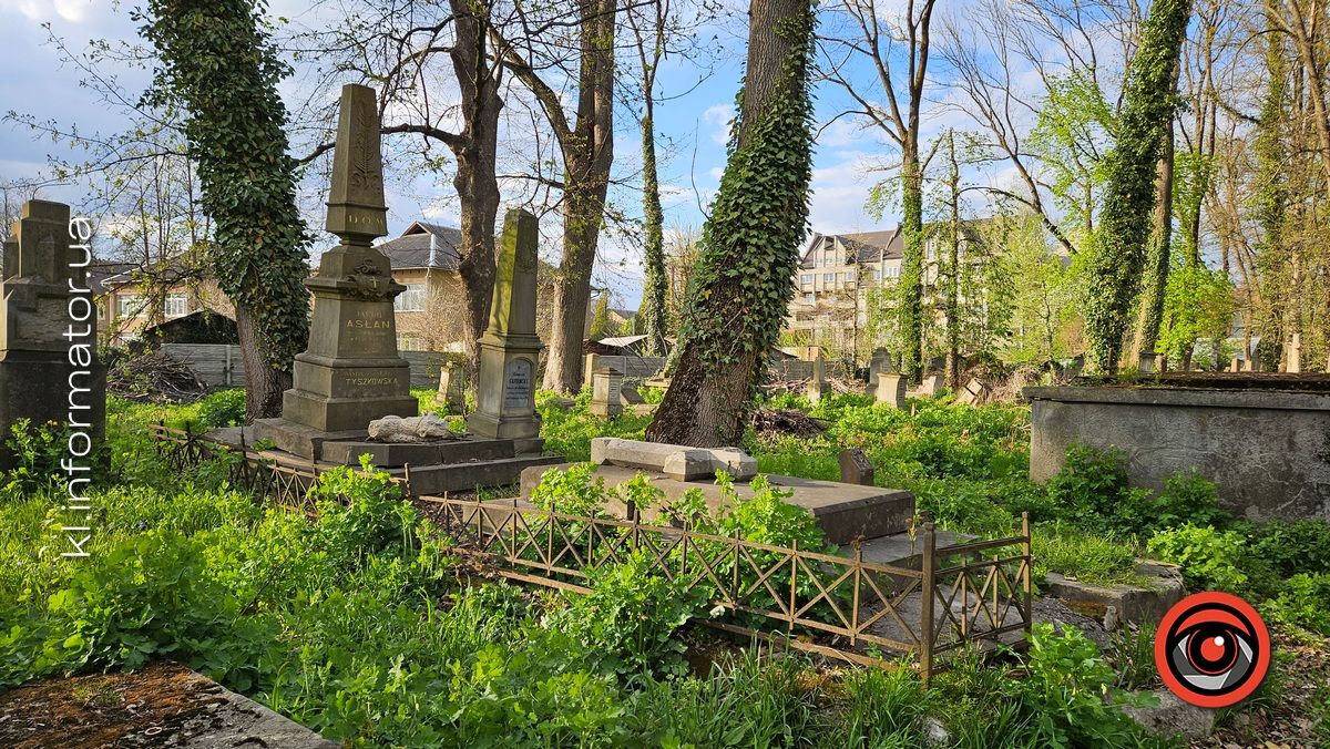 Стихійна розруха: як природа бере своє на польському кладовищі у Коломиї 18