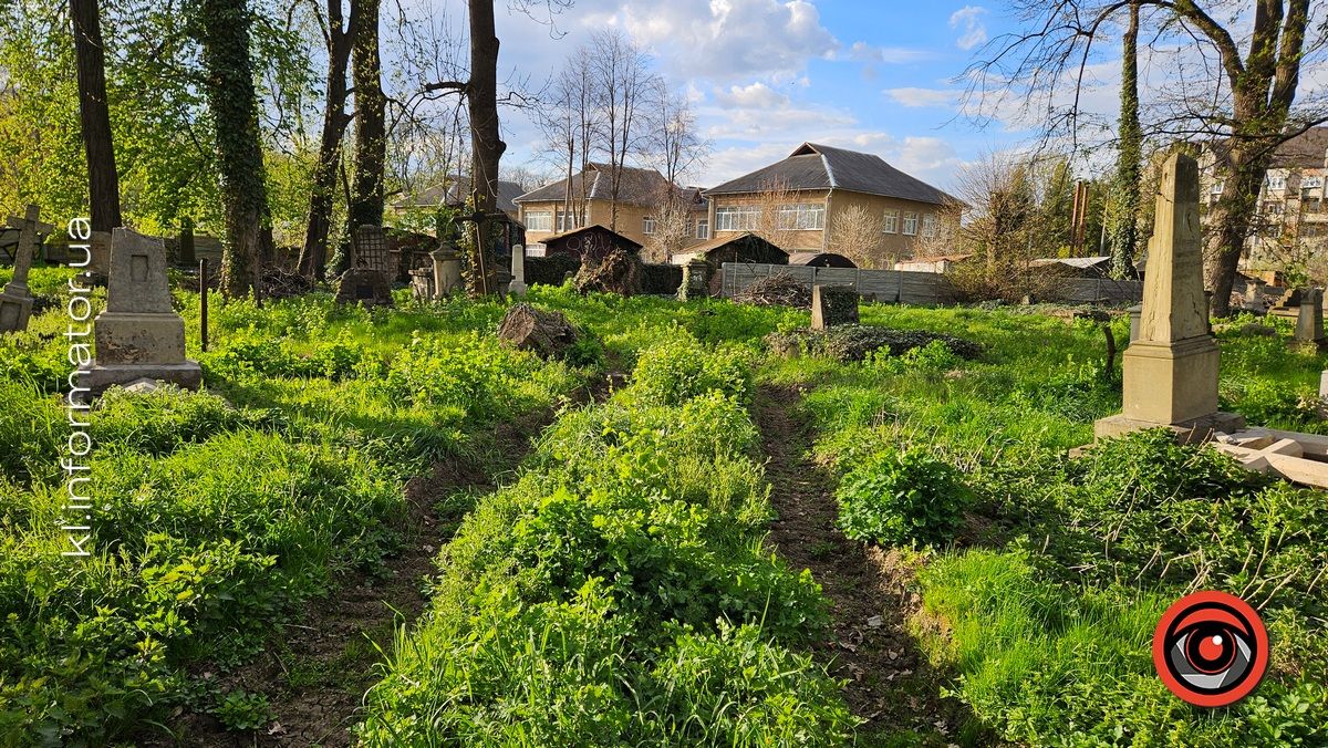 Стихійна розруха: як природа бере своє на польському кладовищі у Коломиї 23