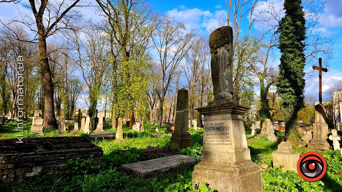 Стихійна розруха: як природа бере своє на польському кладовищі у Коломиї 16