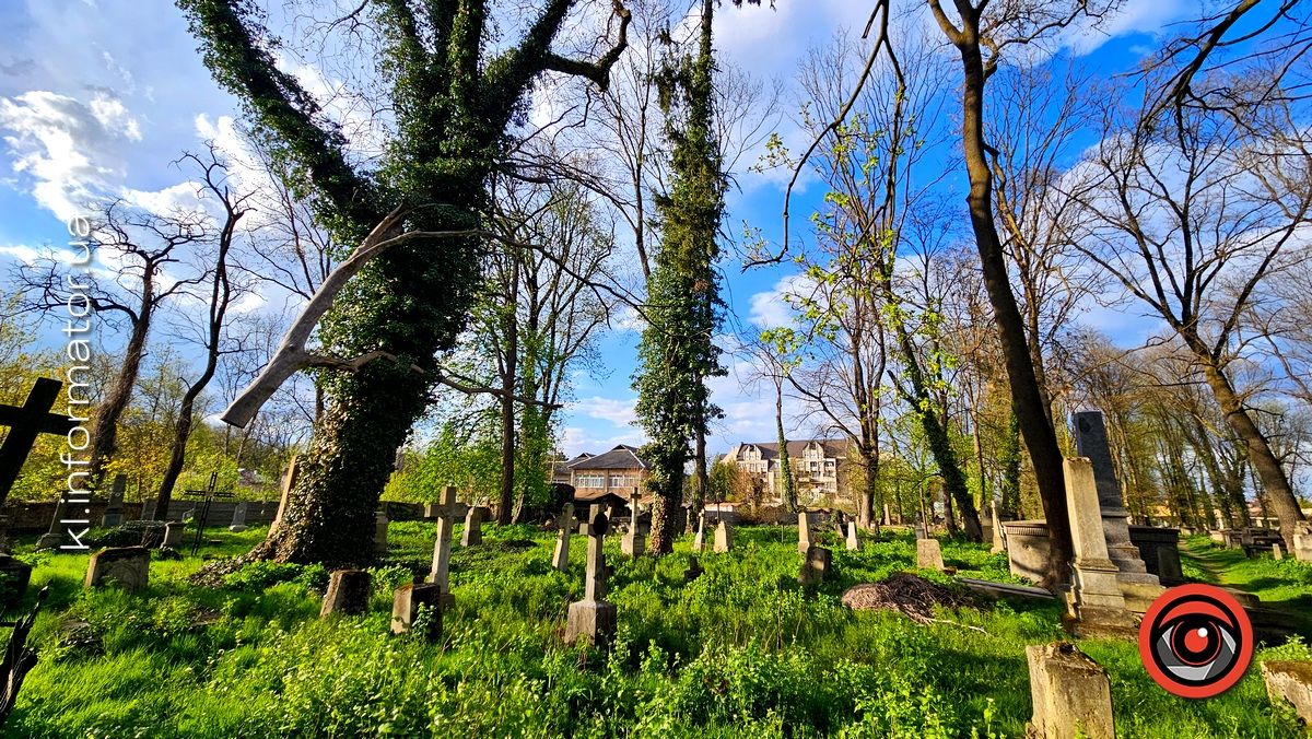 Стихійна розруха: як природа бере своє на польському кладовищі у Коломиї 22