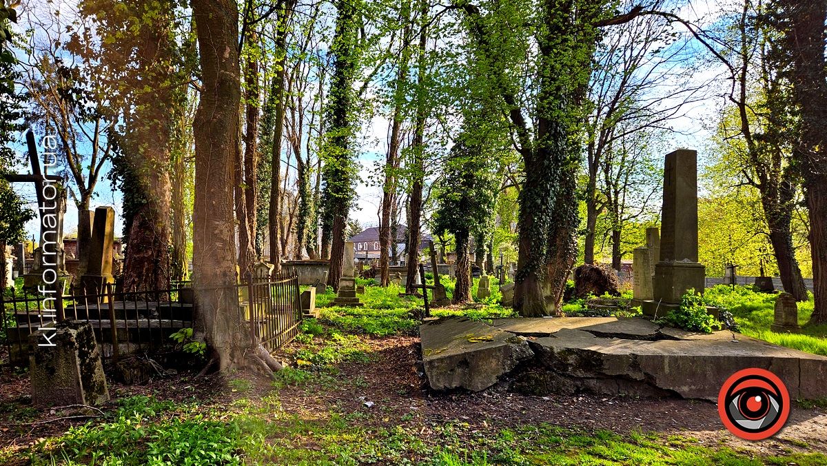 Стихійна розруха: як природа бере своє на польському кладовищі у Коломиї 15