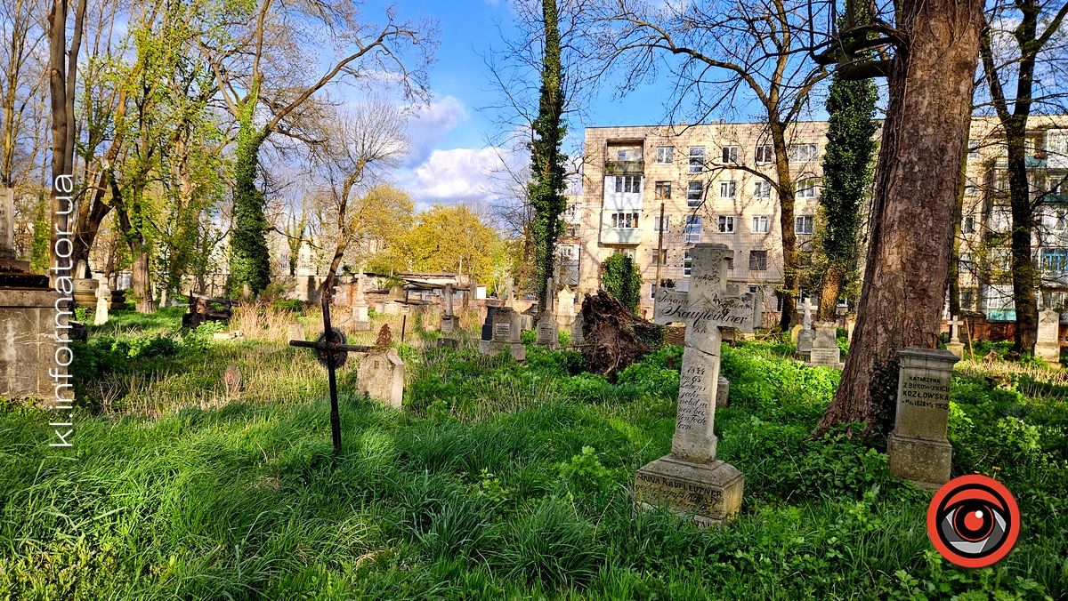 Стихійна розруха: як природа бере своє на польському кладовищі у Коломиї 8