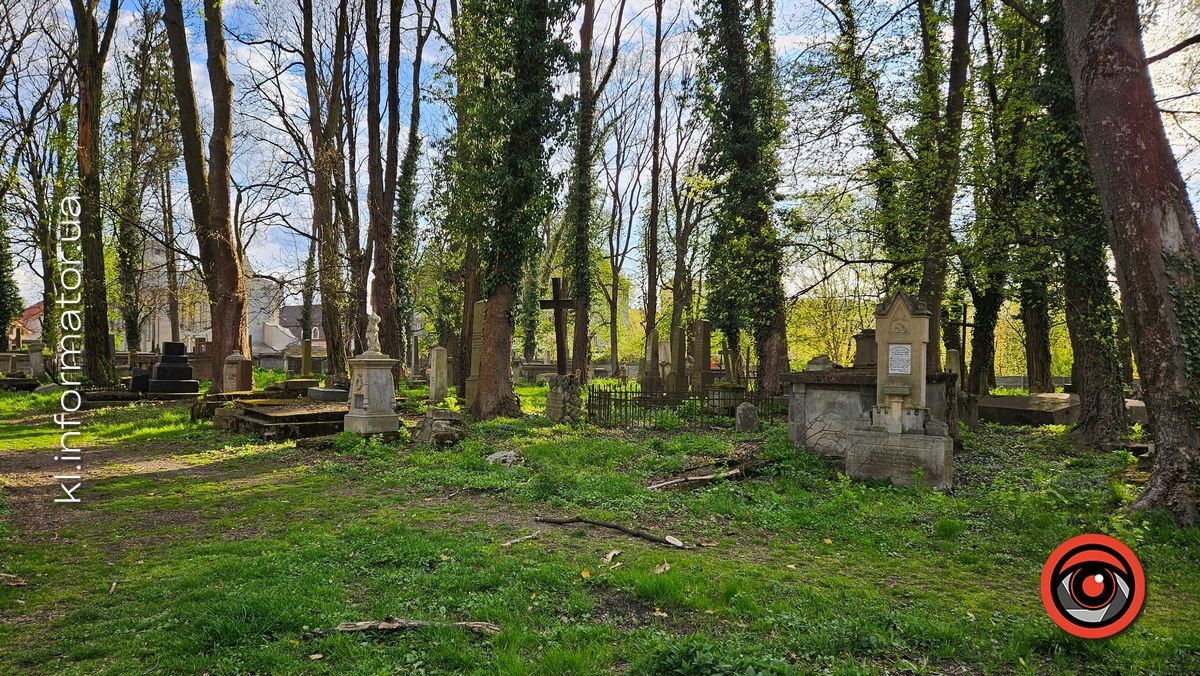 Стихійна розруха: як природа бере своє на польському кладовищі у Коломиї 12