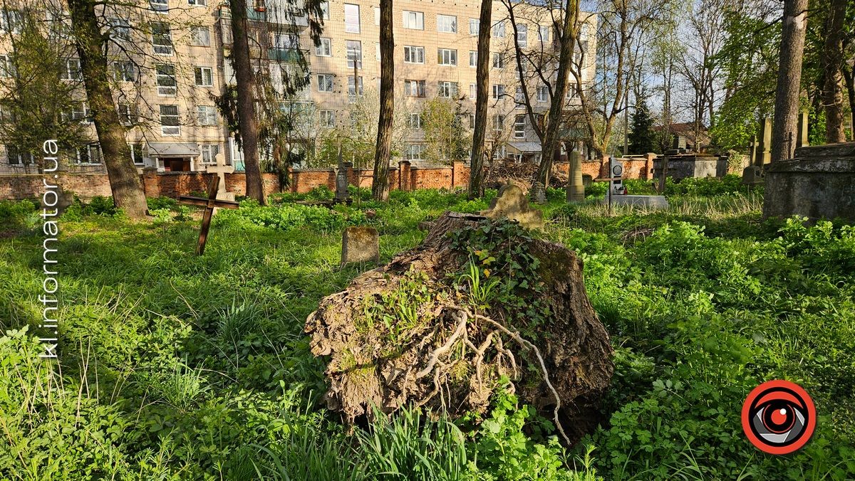 Стихійна розруха: як природа бере своє на польському кладовищі у Коломиї 7