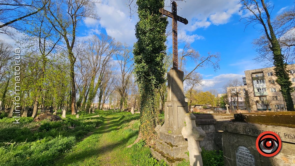 Стихійна розруха: як природа бере своє на польському кладовищі у Коломиї 5