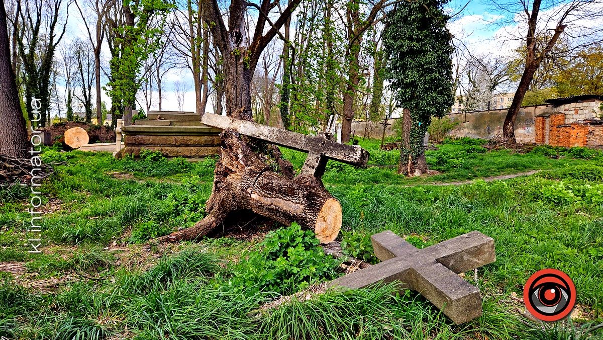 Стихійна розруха: як природа бере своє на польському кладовищі у Коломиї 11