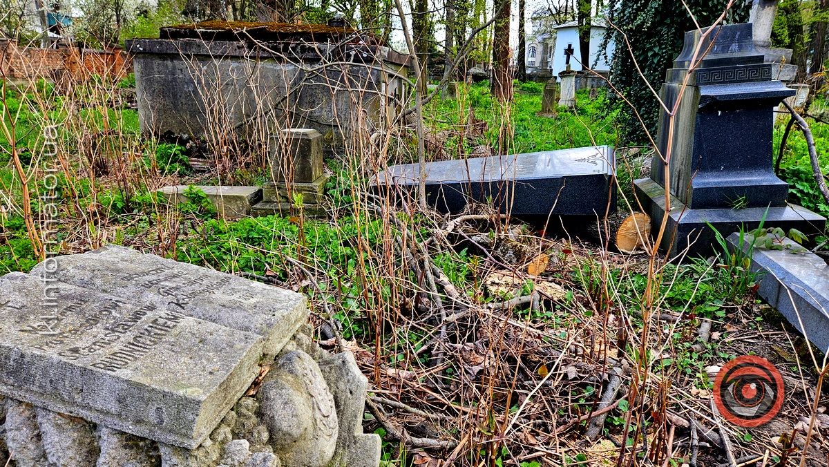 Стихійна розруха: як природа бере своє на польському кладовищі у Коломиї 6