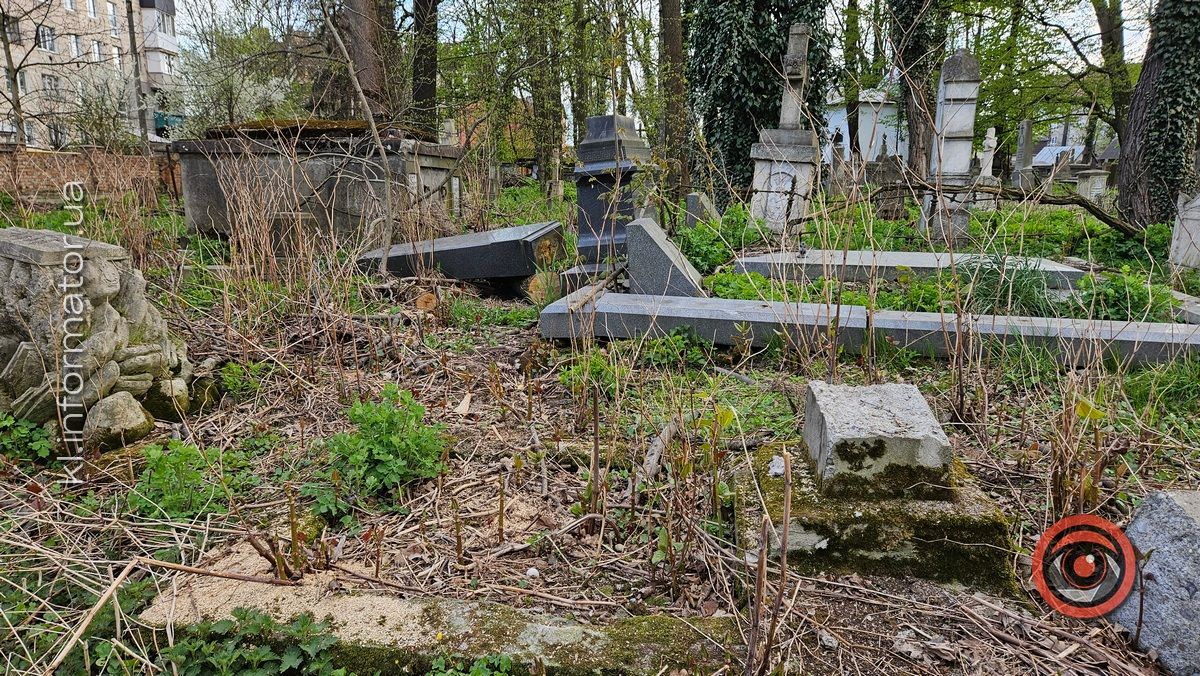 Стихійна розруха: як природа бере своє на польському кладовищі у Коломиї 13