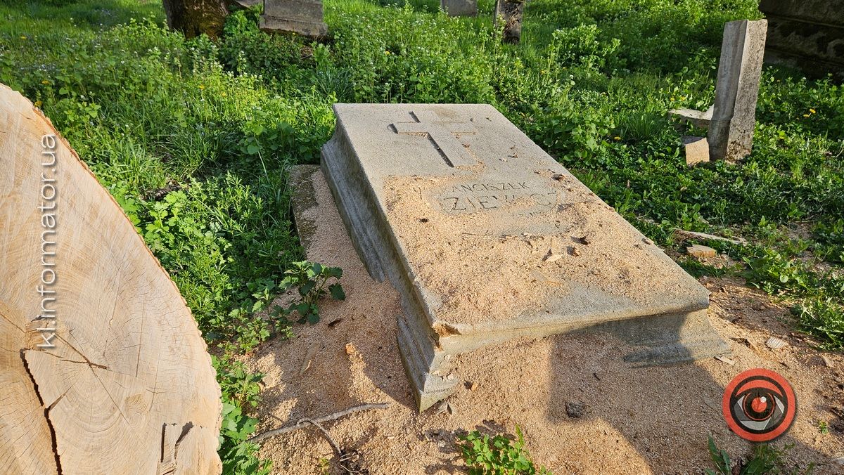 Стихійна розруха: як природа бере своє на польському кладовищі у Коломиї 3