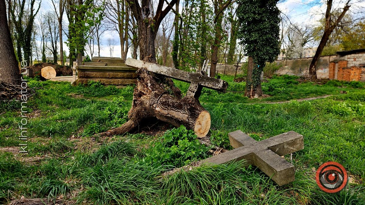 Стихійна розруха: як природа бере своє на польському кладовищі у Коломиї 1