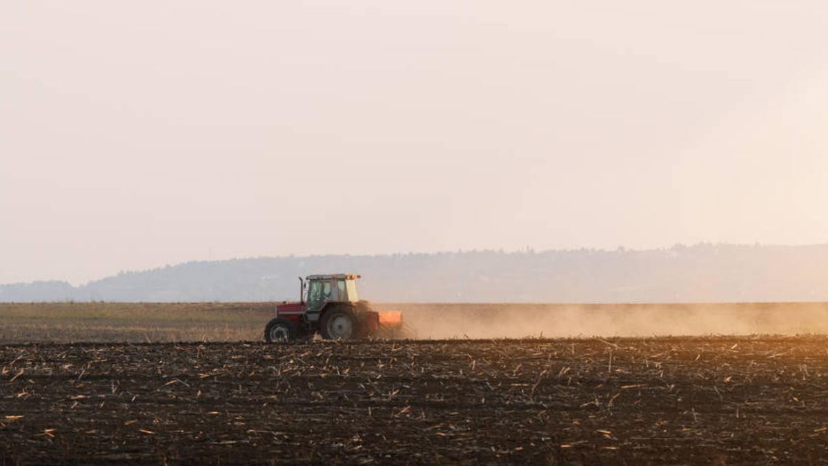 На Прикарпатті засіяли вже понад 18 тисяч гектарів ярих культур