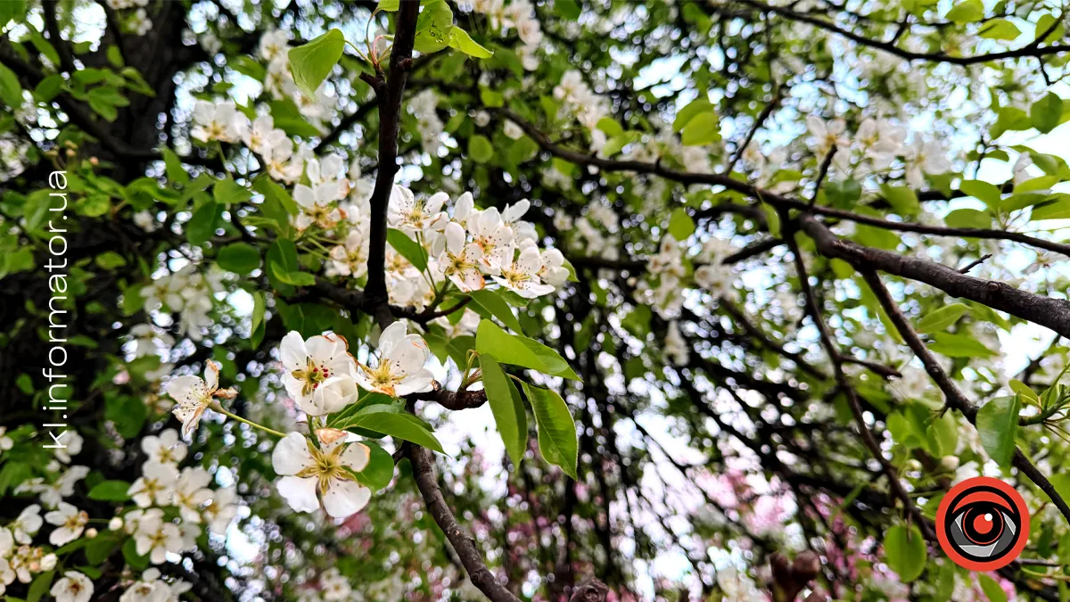 прогноз погоди