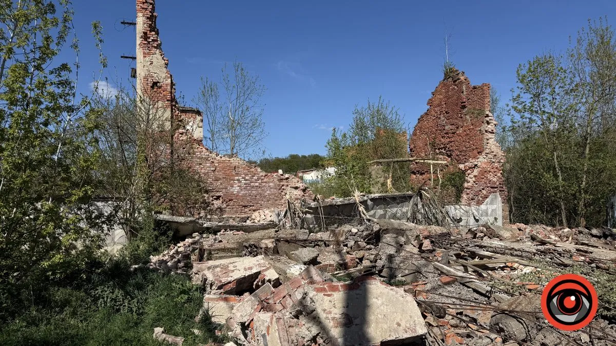 Обвал стіни пошкодив притулок для собак у Калуші