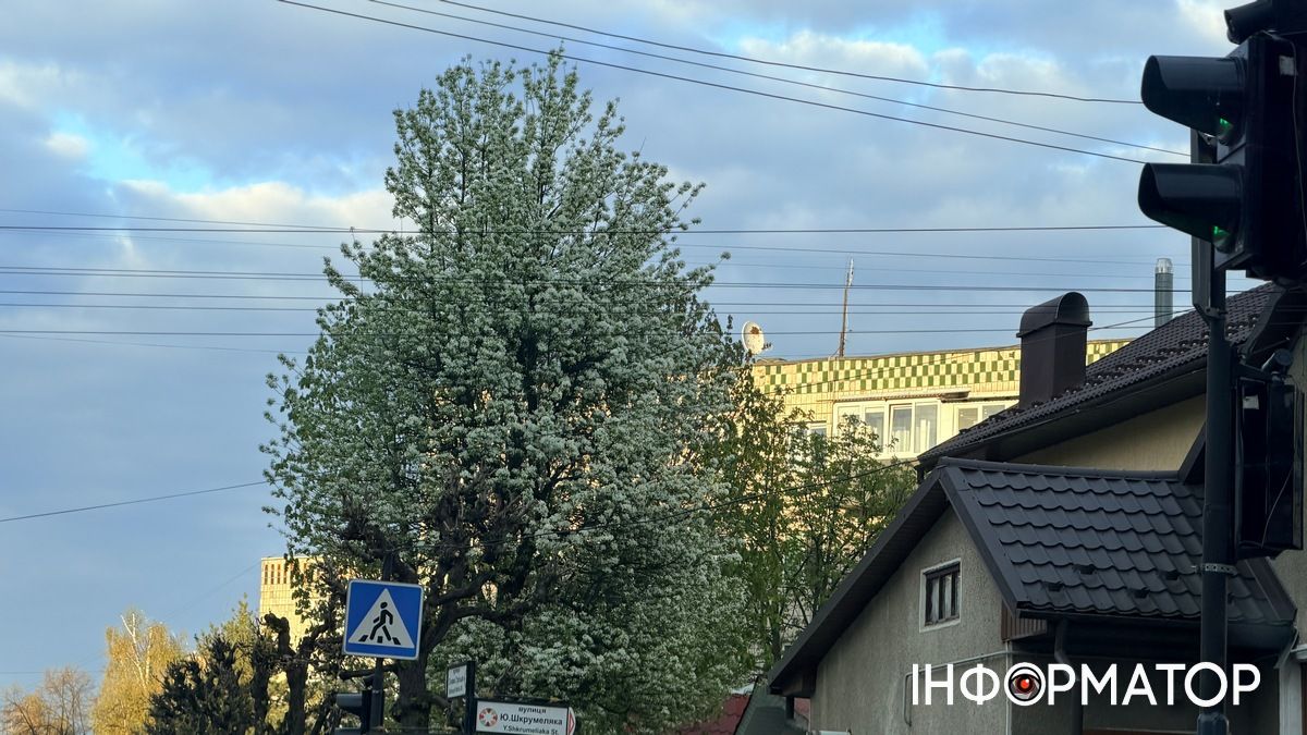 Рекордно низька температура: синоптики зафіксували нові рекорди у Коломиї та Яремче