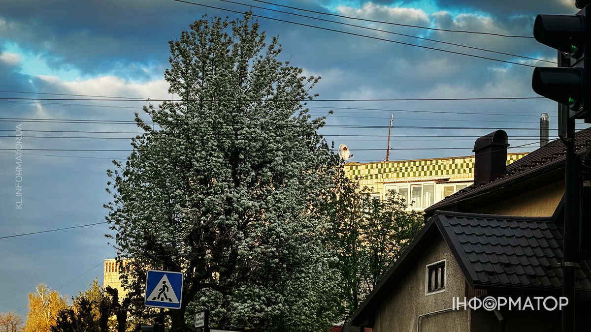 Заквітчана Коломия: яким було місто у квітні 2026 8