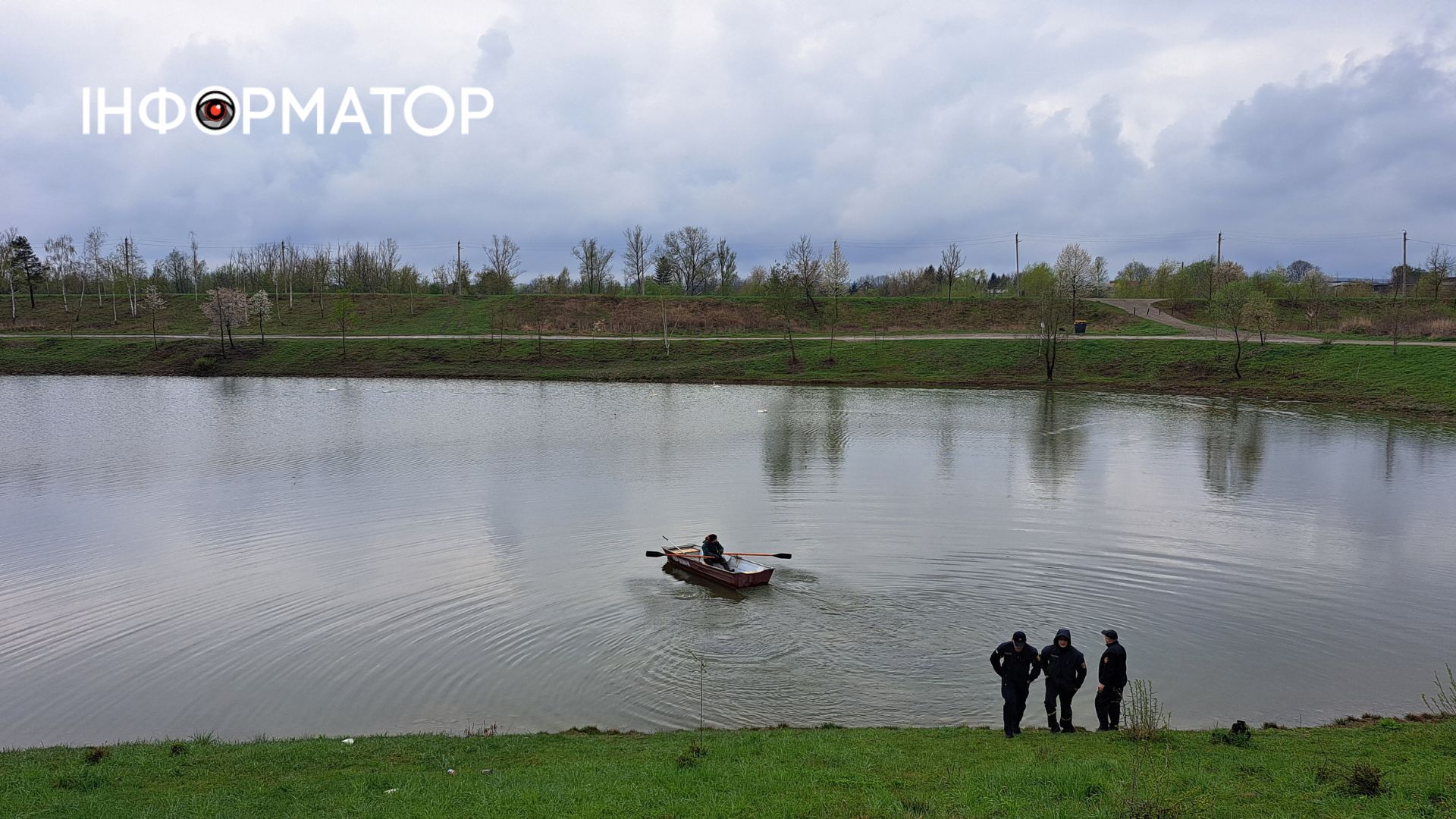 То що трапилось з лебедем: історія лебединого сімейства і 4-х спроб порятунку на коломийському озері 2